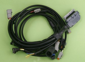 EFI Wire Harness 6-29-10