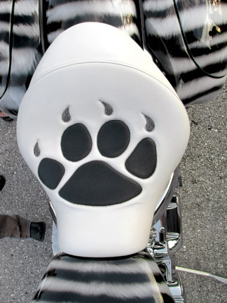 Tiger Bike 