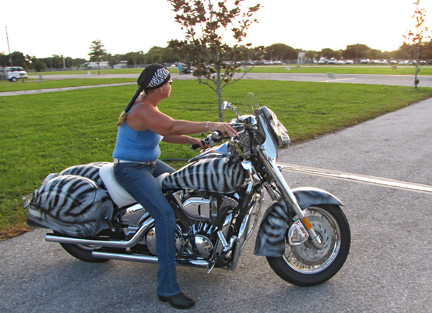 Tiger Bike